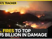 Economic losses mounting from Los Angeles fires