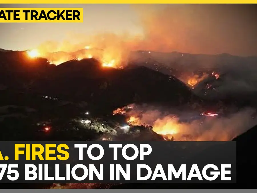 Economic losses mounting from Los Angeles fires