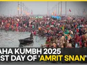 Mahakumbh 2025: Kinnar Akhara takes a holy dip during 'Amrit Snan' | WION reports from Prayagraj