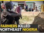 Nigeria: 40 Farmers Killed By Boko Haram Militants In Northeast Nigeria