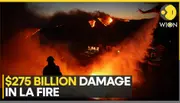 California wildfire: Economic losses mounting from LA fires