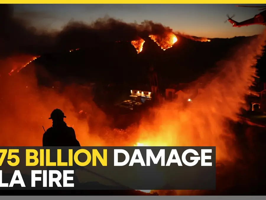 California wildfire: Economic losses mounting from LA fires