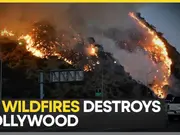 California wildfires: Los Angeles' deadly wildfire destroys Hollywood