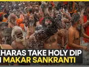 Maha Kumbh Mela 2025: Akharas take holy dip during 'Amrit Snan' | WION reports from Prayagraj