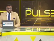 Los Angeles cafe offers 15 minutes cat cuddling sessions as city devastated by fires