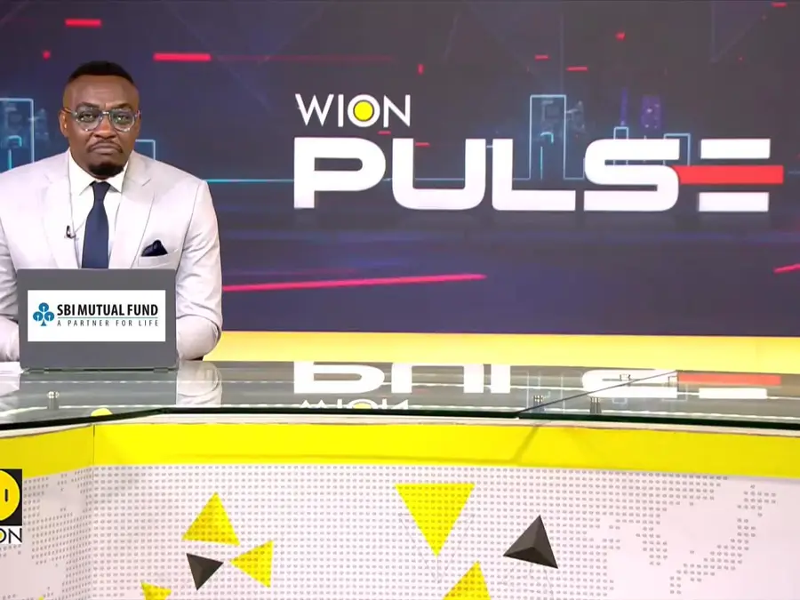 Easter egg hunt by meerkats & raccoons