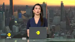 Germany: Dresden bridge collapses, exposes decades of infrastructure  neglect