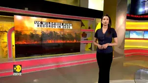 UK wildfires: 24,500 hectares of land scorched this year, as per satellite data
