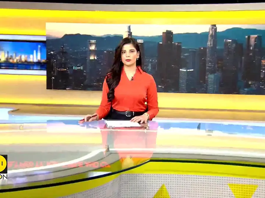 Elephants at San Diego zoo sense earthquake, form 'alert circle' around calves