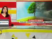 Energy, Climate, Telecom Sectors Most Vulnerable To Climate Risks: WEF