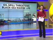 Russian Tankers Sink In Black Sea, Trigger Environmental Disaster