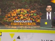 Cocoa Futures Soar To  $11,925 Per Ton Amid Supply Woes