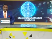 Intelligence Defined By How Your Brain Is Wired: Study
