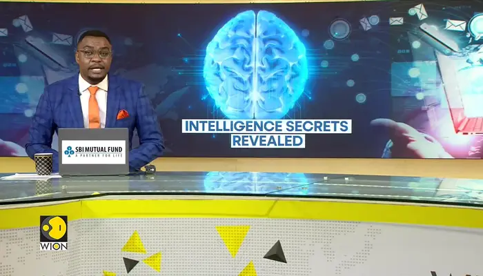 Intelligence Defined By How Your Brain Is Wired: Study