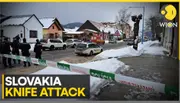Slovakia: Student detained after two killed in knife attack in school