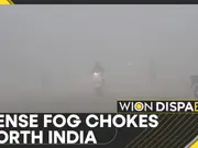 Delhi cold wave: Dense fog chokes north India