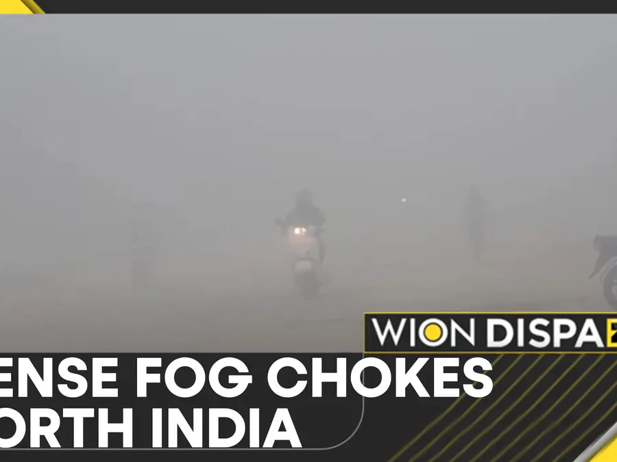 Delhi cold wave: Dense fog chokes north India