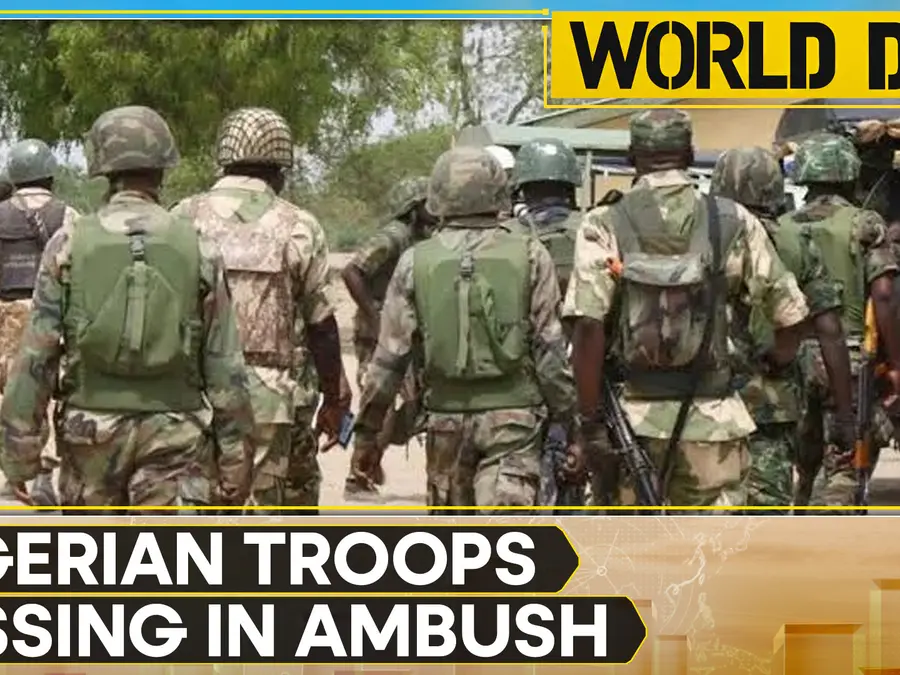 Nigeria: Several soldiers missing after Boko Haram ambush in Baga