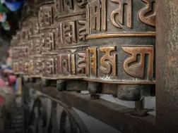 Sanskrit wasn’t born in India? Scientists discover a different country as the language’s origin