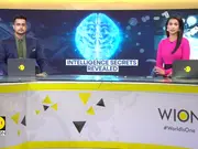 Study Compares Brain Function To The Internet, Defines Intelligence By Brain Wiring