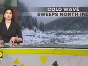 Severe Cold Wave Sweeps North India