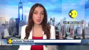 UNSC Calls For 'Syrian-Led Political Process