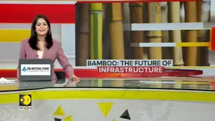 Bamboo The future of stronger, greener infrastructure?