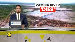 Zambia: River 'dies' overnight, millions facing the brunt