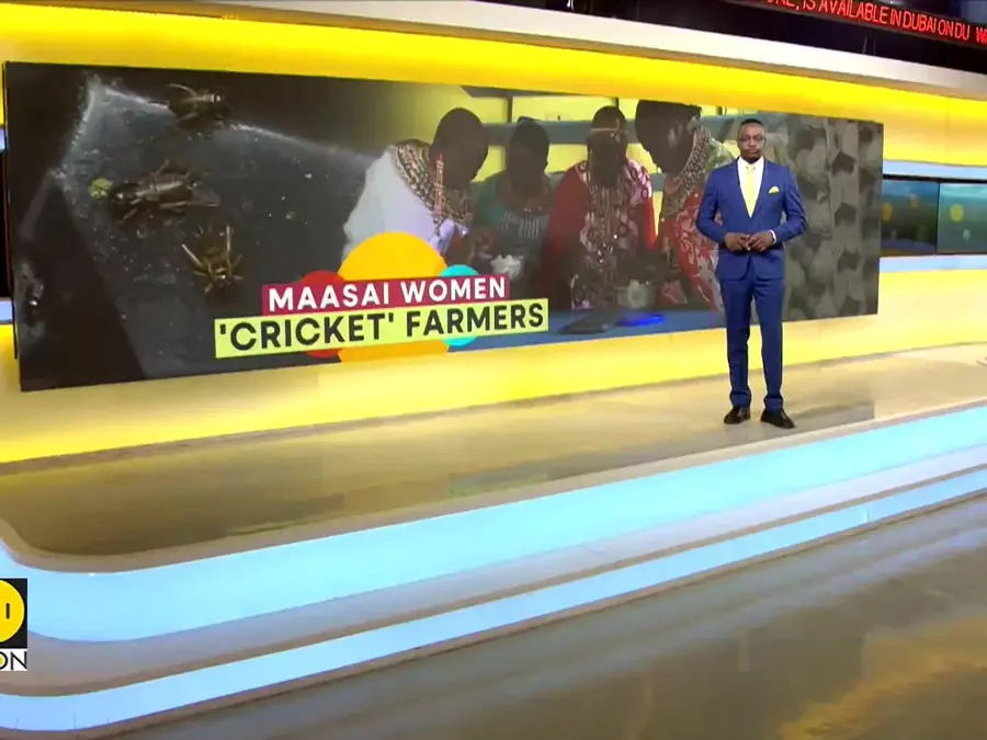 Maasai women turn to cricket farming to beat climate change
