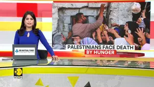 NGOs warn aid in Gaza is 'facing total collapse