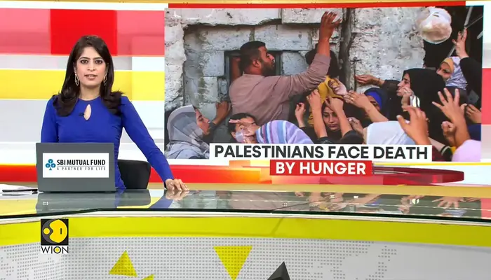 NGOs warn aid in Gaza is 'facing total collapse