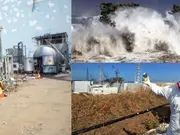 'Can kill nearly 300,000 people': Japan govt warns on mega earthquake in new forecast. What is Nankai Trough earthquake?