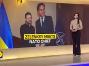 Russia-Ukraine War: Ukraine President Zelensky Held Talks With NATO Chief