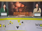 Oman Blocks Indian Egg Imports, Poultry Industry In Tamil Nadu Hit Hard