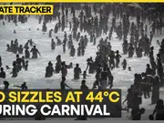 Carnival revelers battle record heat in Rio