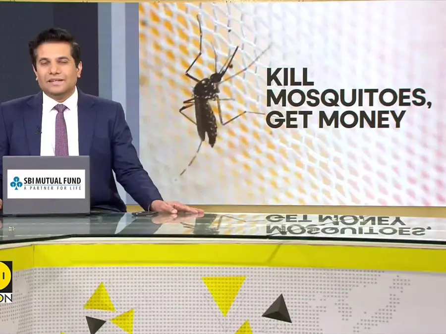 Manila neighbourhood puts bounty on dengue-carrying mosquitoes