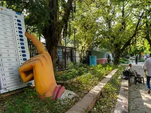 How to vote in Delhi Assembly election? A step-by-step guide for voters