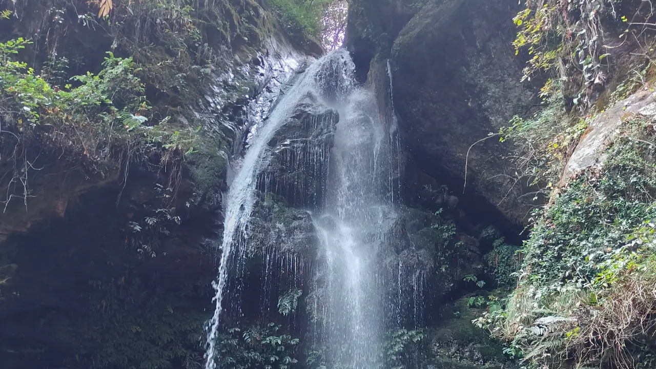 Jibhi, Himachal Pradesh