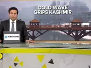 India: Northern States Face Severe Cold Wave Conditions | World News | WION Dispatch