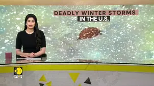 Temperature drop 50° F below average in US states