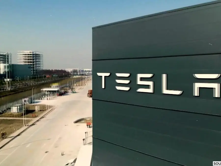 Rift between Musk and Trump? President says unfair to US if Tesla enters India | WION Originals