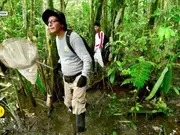 27 New Species Discovered in Peru’s Amazon, Including 'Amphibious Mouse' and 'Dwarf Squirrel