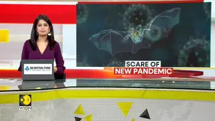 China's 'batwoman' finds deadly new coronavirus