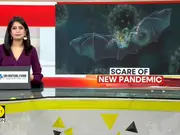 China's 'batwoman' finds deadly new coronavirus
