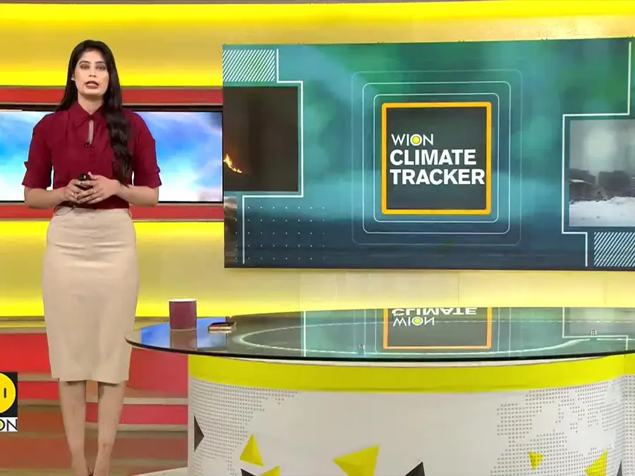 Focus on forest conservation and climate action