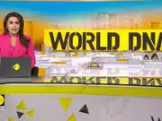 Nigeria: 13 Killed, Including Children, in Nigeria Christmas Charity Event Stampede