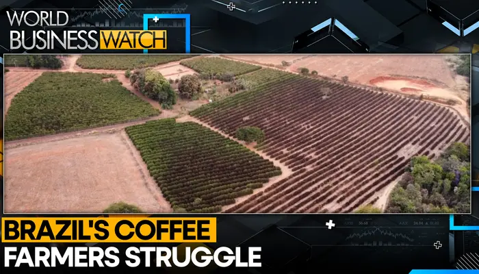 Global coffee prices surge as Brazil records hottest year