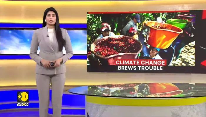 Climate change hits Brazil’s coffee industry