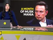 One month of Musk mania: frings, fallout and furry