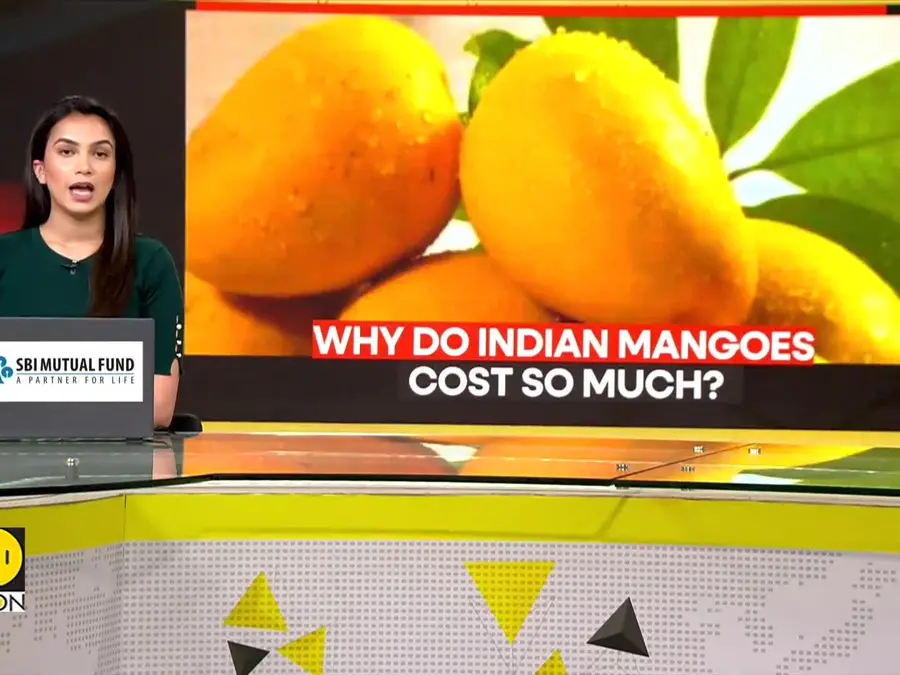 India is the largest producer of mangoes